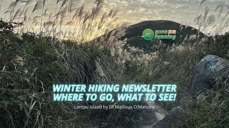 Winter Hiking Newsletter 2021