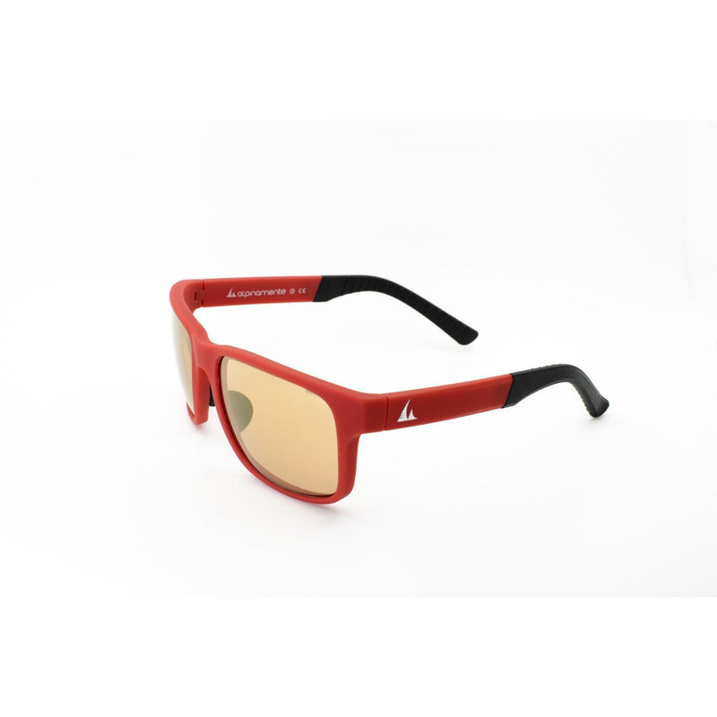 Alpinamente PELMO Photochromic Sunglasses