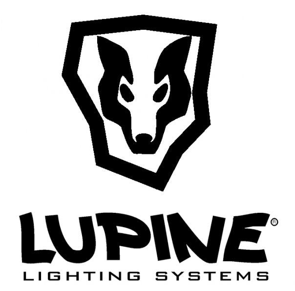 Lupine Lights