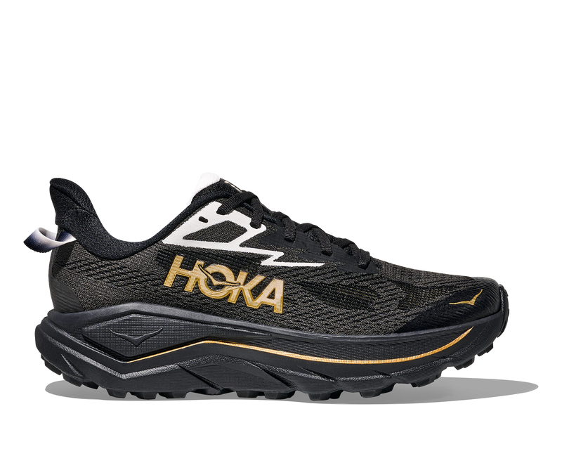 ALTRA - Women's OLYMPUS 6 HIKE LOW GTX